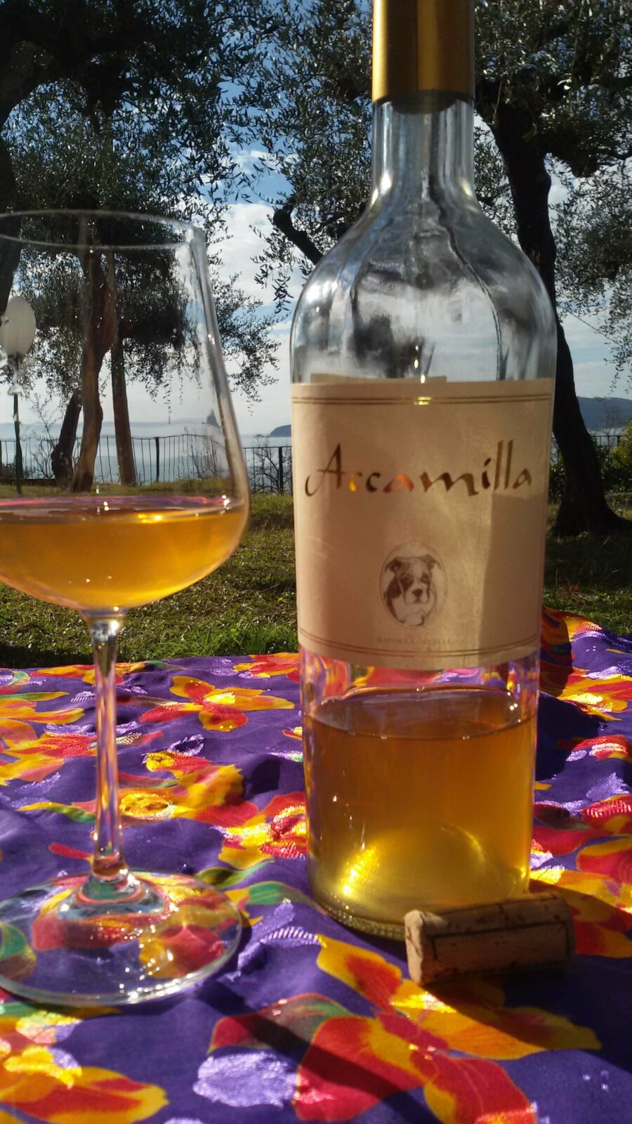 Oranjewijn uit Basilicata, op Malvasiabasi