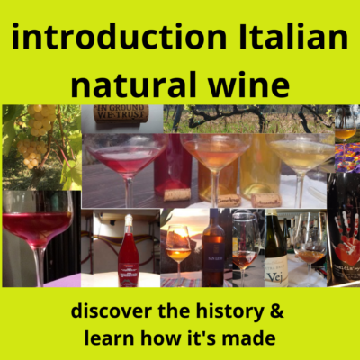 introduction Italian natural wine
