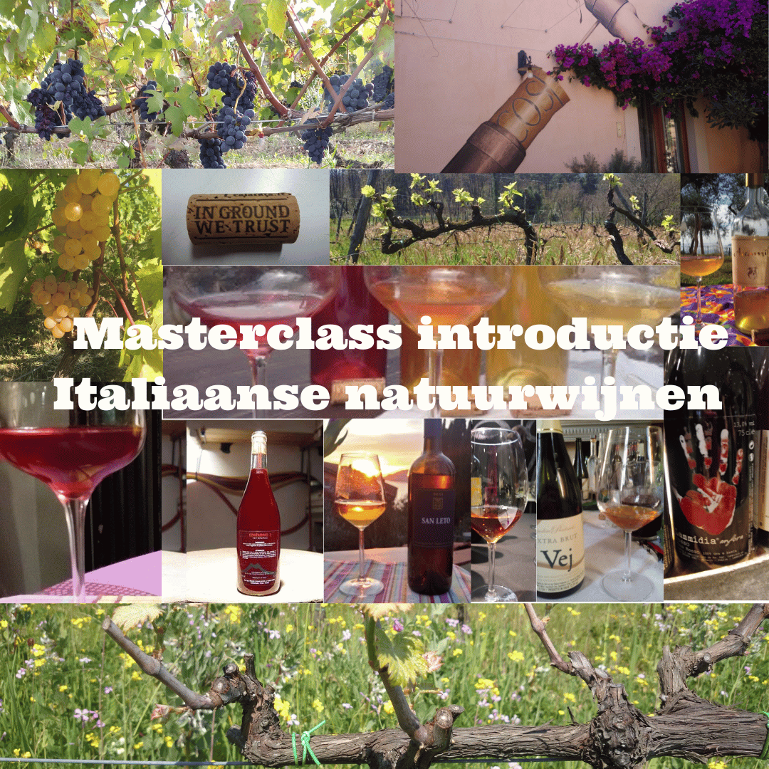 introductie italiaanse natuurwijnen masterclass introductie italiaanse natuurwijnen